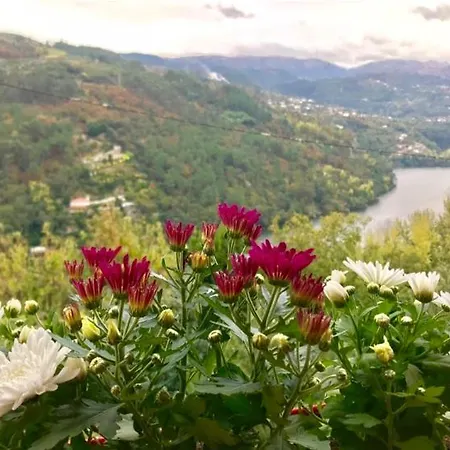 Pedacinho De Mundo Douro