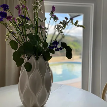 Hétvégi ház Pedacinho De Mundo Douro Passinhos de Cima