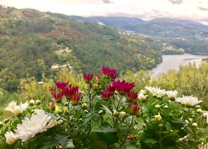 Pedacinho De Mundo Douro